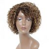 Short Curly Human Hair Wigs for Black Women HUA P4/27/30 Short Curly Wigs for African American Glueless Human Hair Wigs