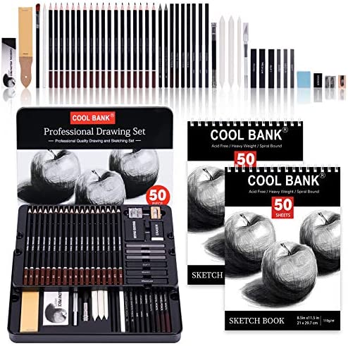 52 Piece Professional Drawing Set with 2 x 50 Page Drawing Pad, Art Supplies, Graphite Drawing Pencils and Sketch Set, Artist Sketching Tools in Tin Box Includes Charcoals,Pastels and Sharpener